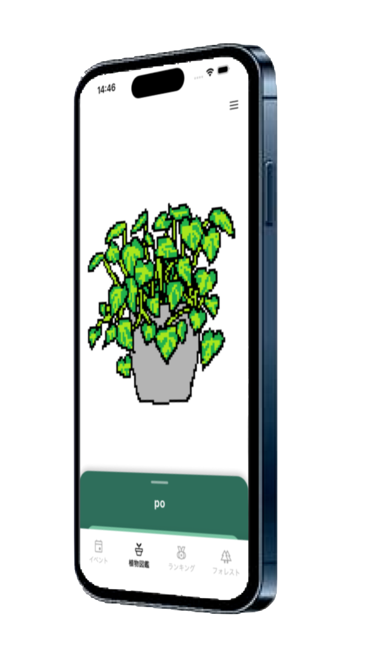 mokumo app preview